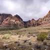About Oudtshoorn Image